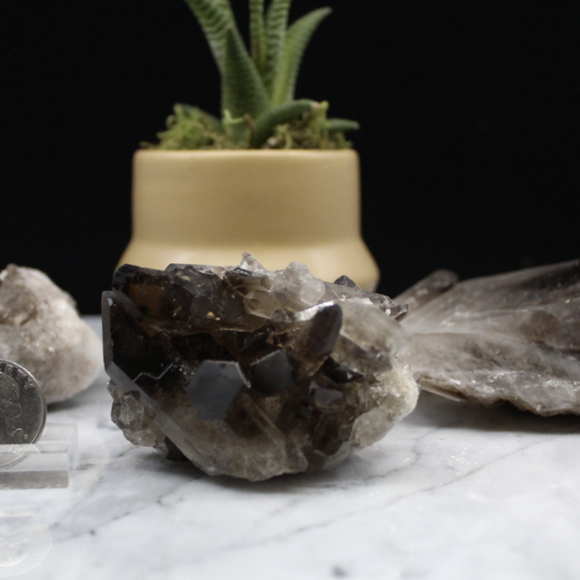 Smoky (Smokey) Quartz Clusters - Large (2-3") Rough Raw Natural