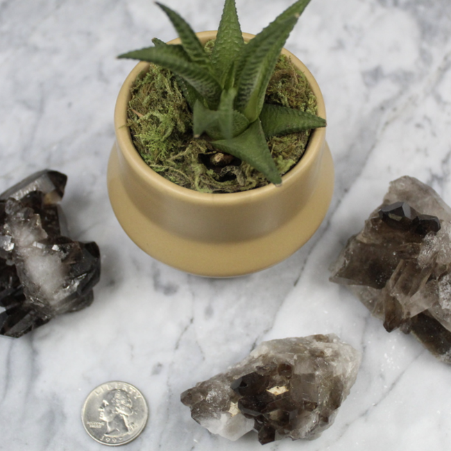 Smoky (Smokey) Quartz Clusters - Medium (1.5-2") Rough Raw Natural