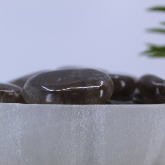 Smoky (Smokey) Quartz Palm Pillow Pocket Stone