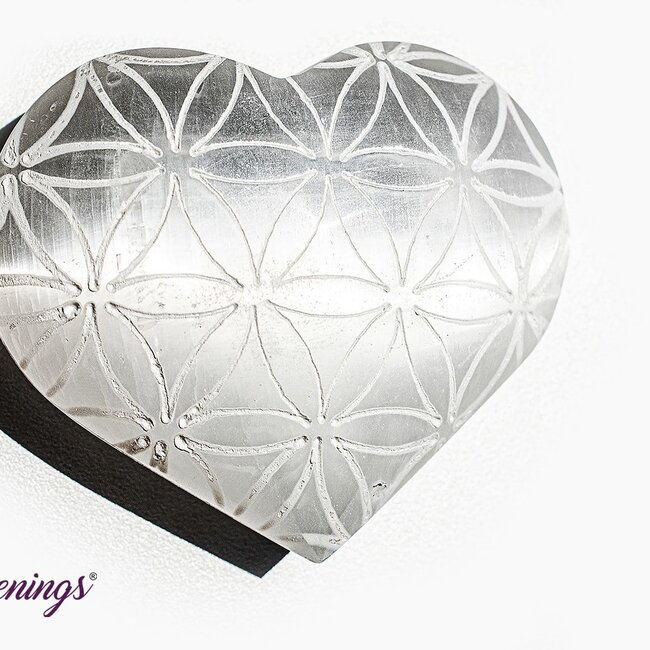 Selenite (Satin Spar Gypsum) Hearts - 3" Flower Seed of Life Engraved Etched Large