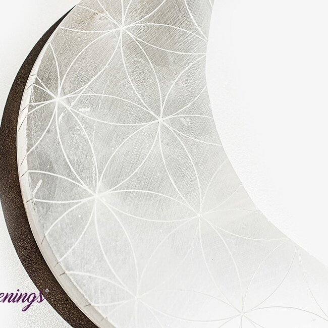 Selenite (Satin Spar Gypsum) Charging Disks Plates - Crescent Moon Seed Flower of Life Large