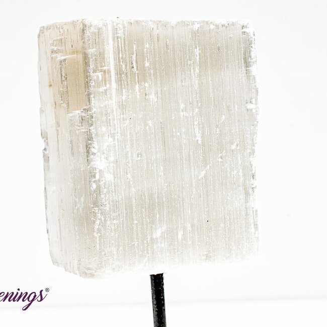 Selenite (Satin Spar Gypsum) - Mini Pin - Rough Raw Natural
