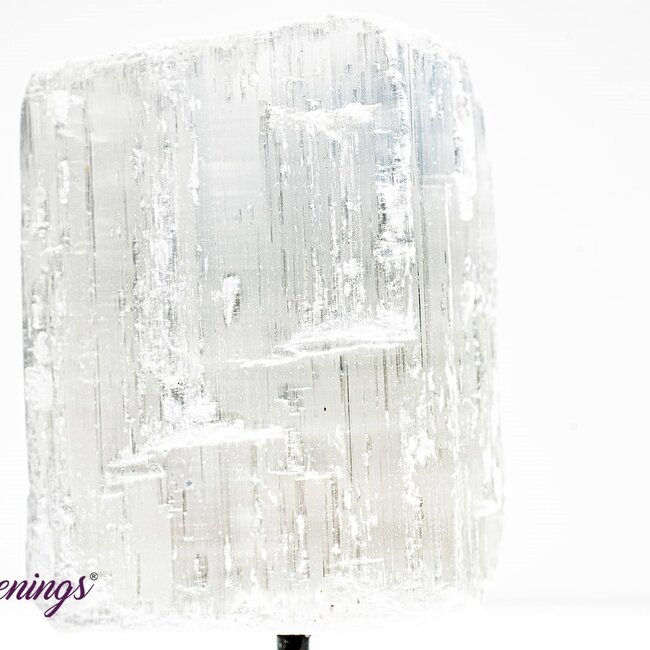 Selenite (Satin Spar Gypsum) - Mini Pin - Rough Raw Natural