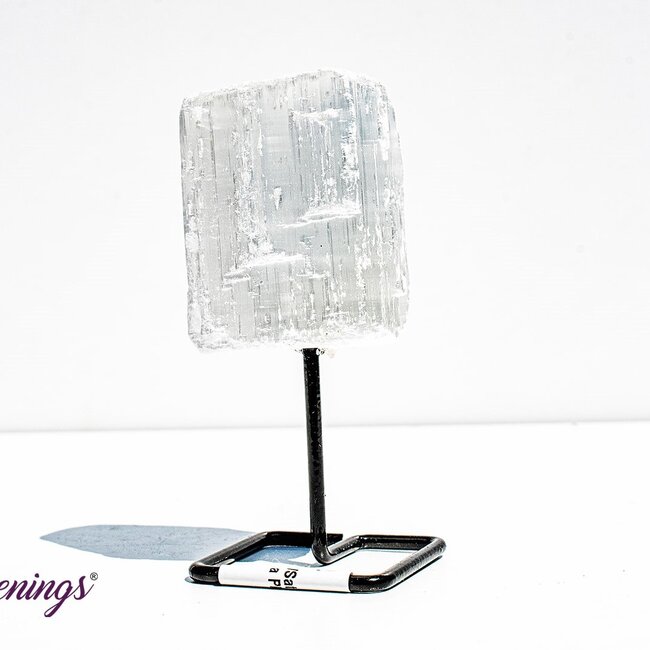 Selenite (Satin Spar Gypsum) - Mini Pin - Rough Raw Natural