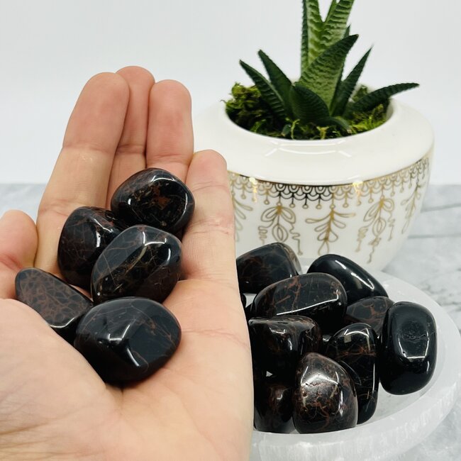 Black Tourmaline & Red Hematite - Medium Tumbled