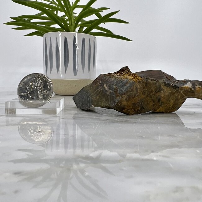 Ohio Flint - Small Rough