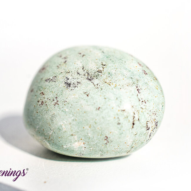 Lizardskin Agate- Tumbled