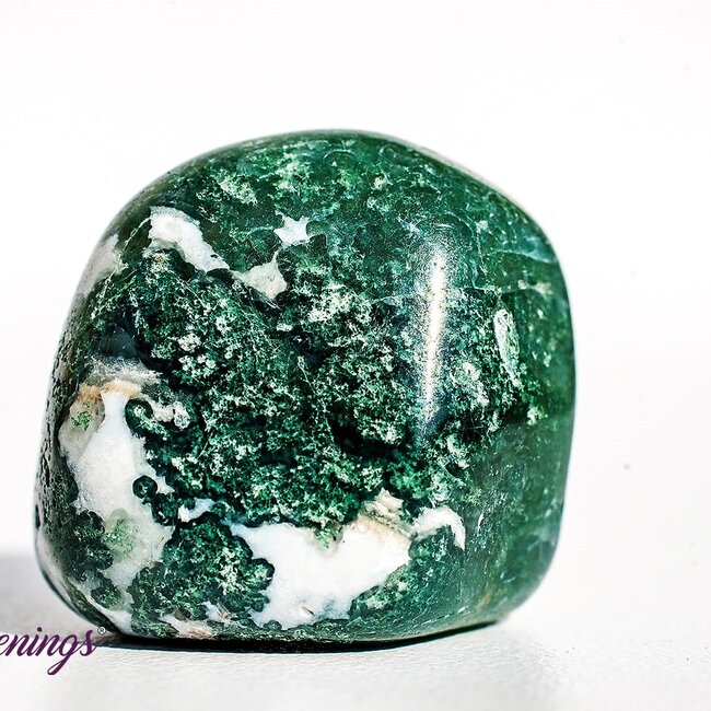 Lizardskin Agate- Tumbled