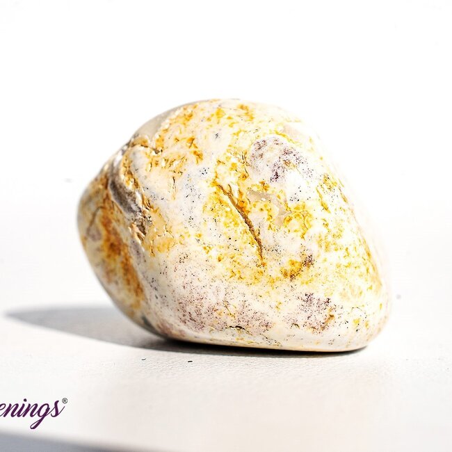 Lizardskin Agate- Tumbled