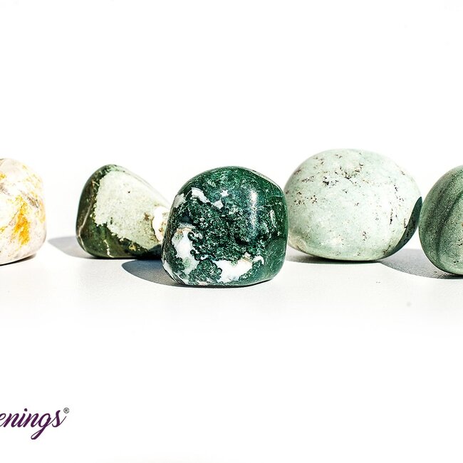 Lizardskin Agate- Tumbled