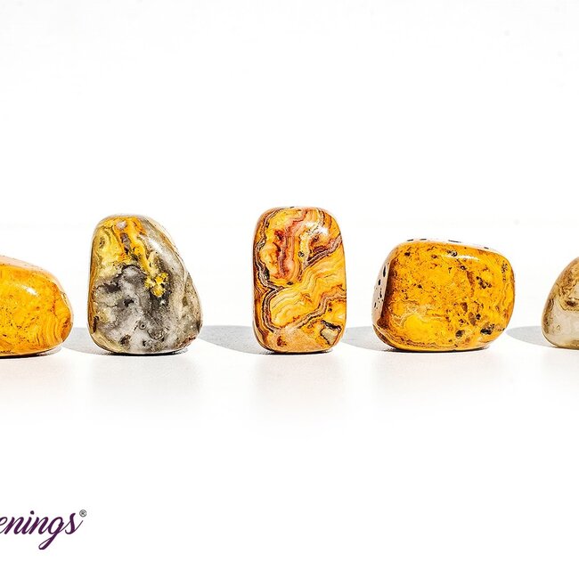 Crazy Lace Agate - Tumbled