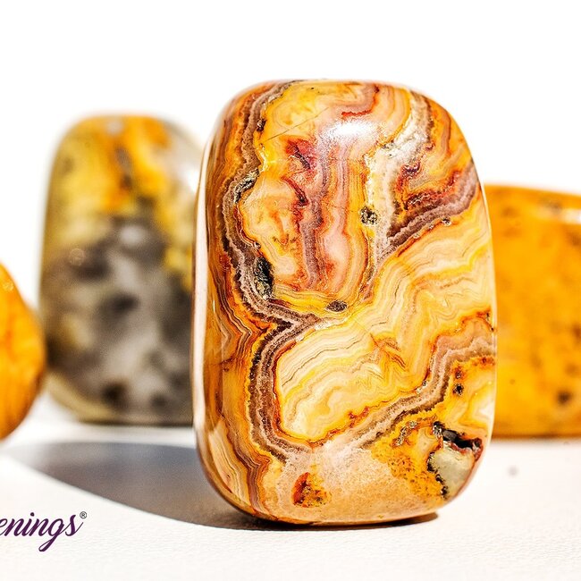 Crazy Lace Agate - Tumbled