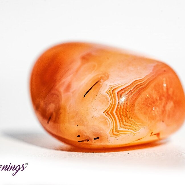 Apricot Agate - Tumbled
