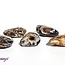 Ocos Agate - Tumbled Smooth