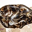 Ocos Agate - Tumbled Smooth
