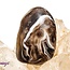 Ocos Agate - Tumbled Smooth