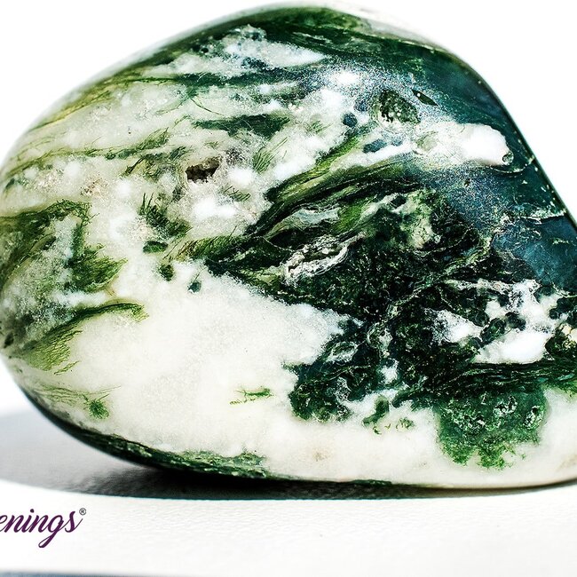 Tree Agate - Large Tumbled