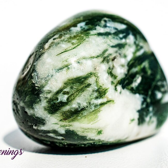 Tree Agate - Large Tumbled