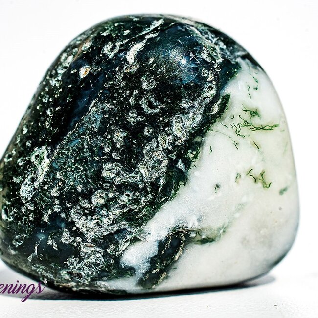 Tree Agate - Large Tumbled