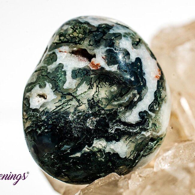 Tree Agate - Large Tumbled