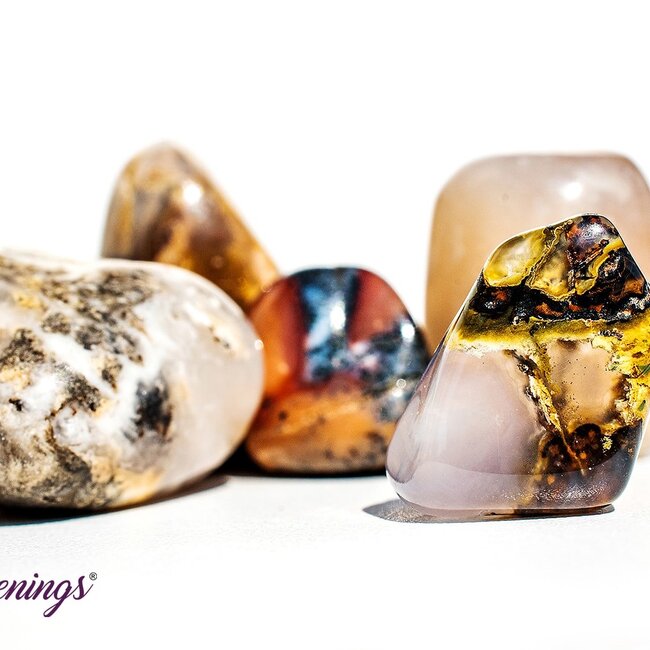 Dendritic Agate - Tumbled