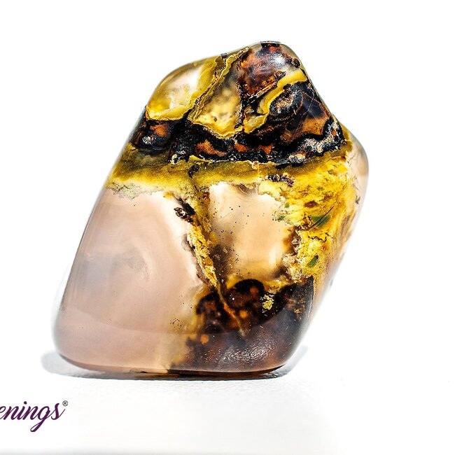 Dendritic Agate - Tumbled