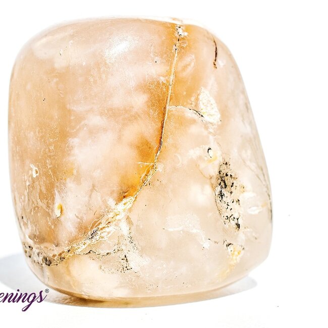 Dendritic Agate - Tumbled