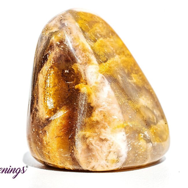 Dendritic Agate - Tumbled