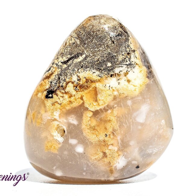 Dendritic Agate - Tumbled