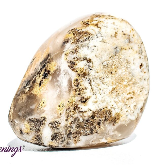 Dendritic Agate - Tumbled