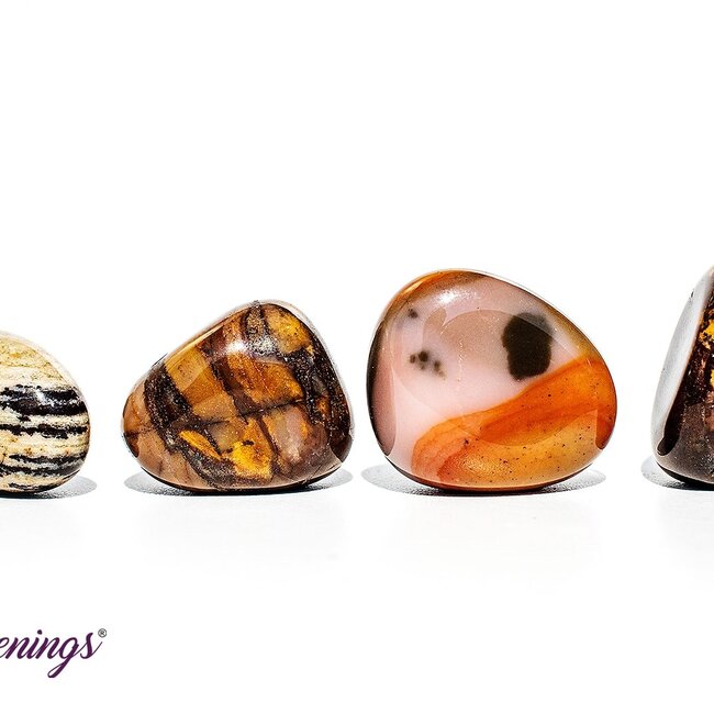 Bamboo Leaf Agate - Tumbled