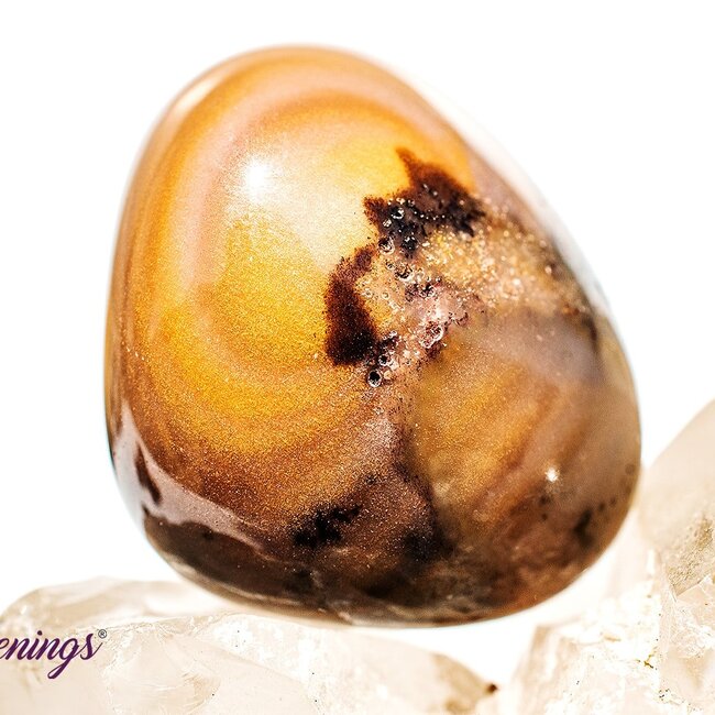 Bamboo Leaf Agate - Tumbled