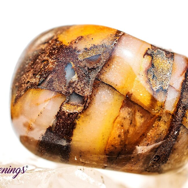 Bamboo Leaf Agate - Tumbled