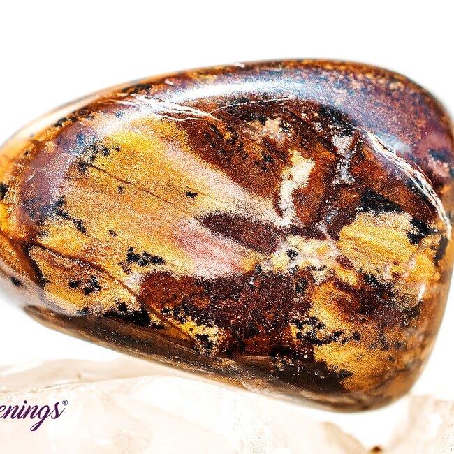 Bamboo Leaf Agate - Tumbled