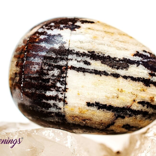 Bamboo Leaf Agate - Tumbled