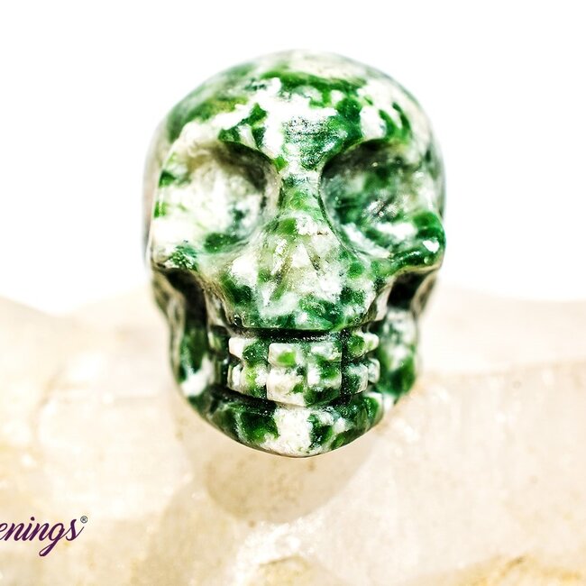 Tree Agate Skull- Mini