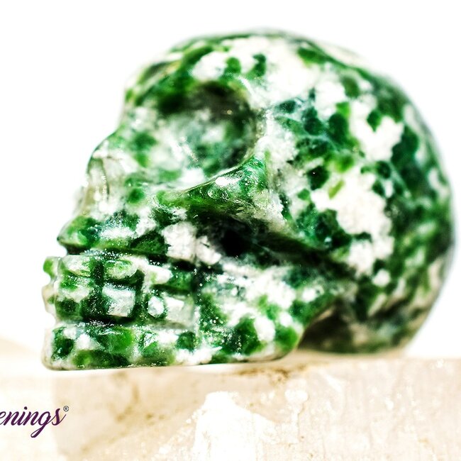 Tree Agate Skull- Mini