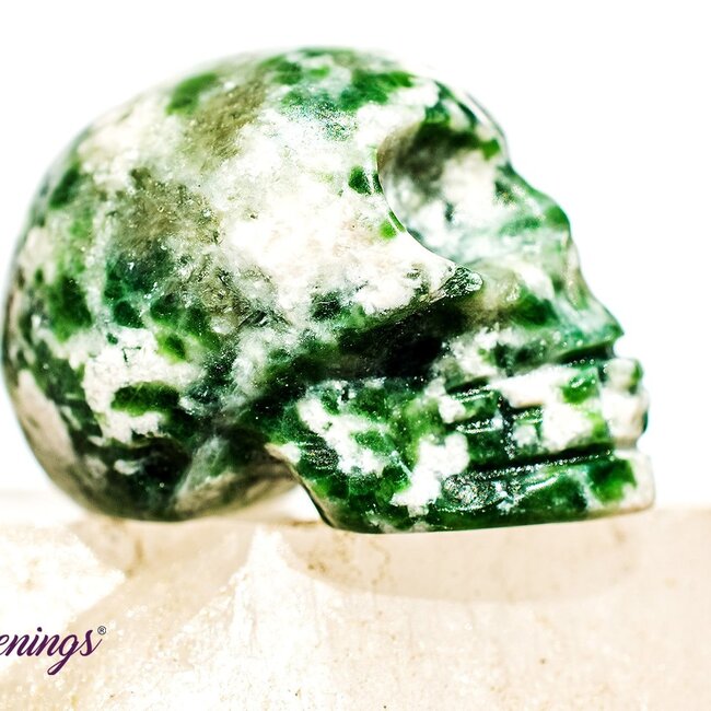 Tree Agate Skull- Mini