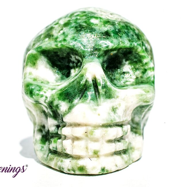 Tree Agate Skull- Mini
