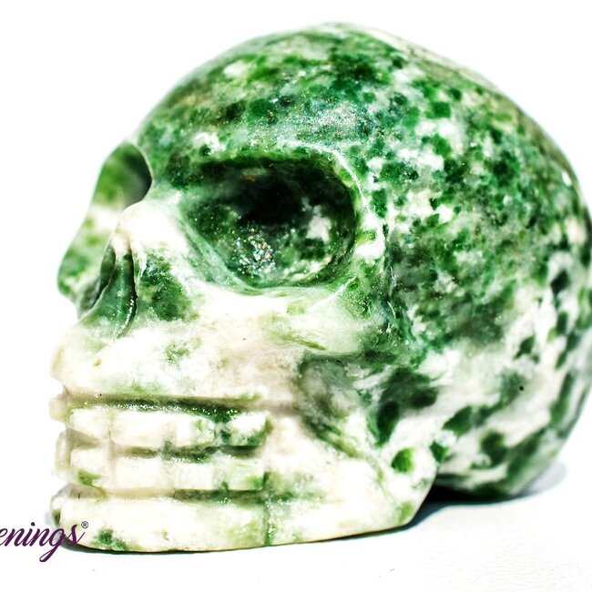 Tree Agate Skull- Mini