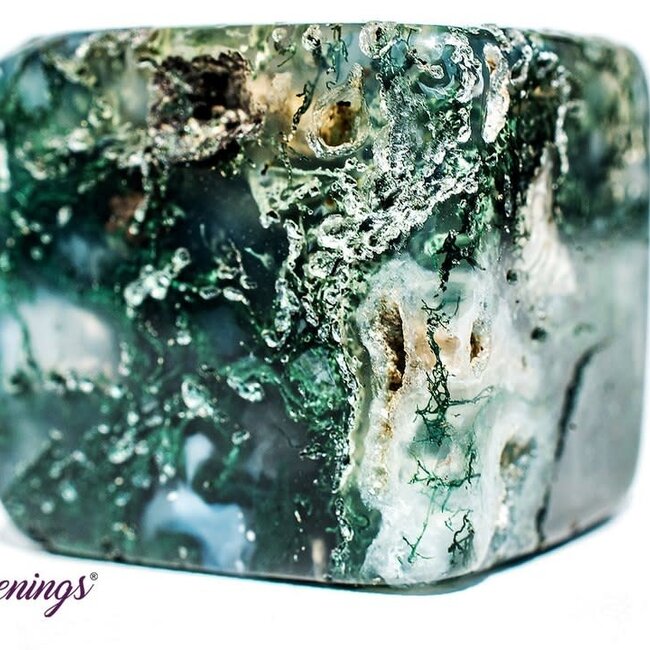Moss Agate Cubes 1"