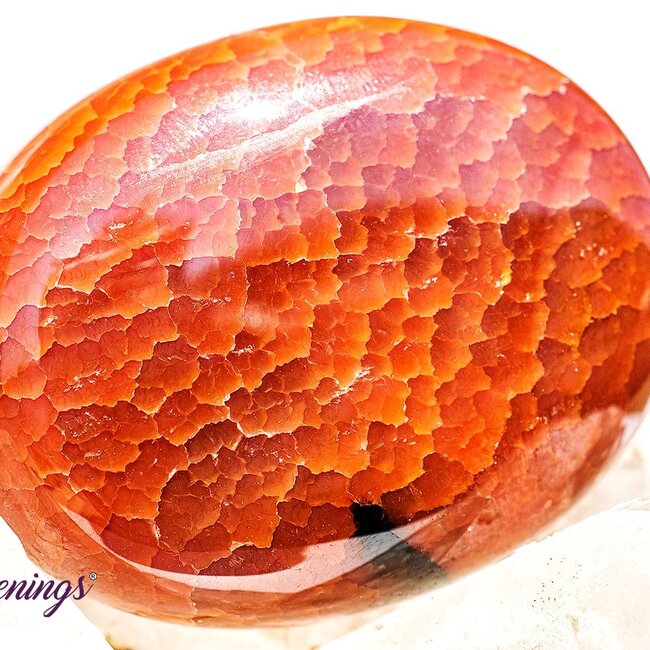 Fire Agate Palm Pillow Pocket Stone
