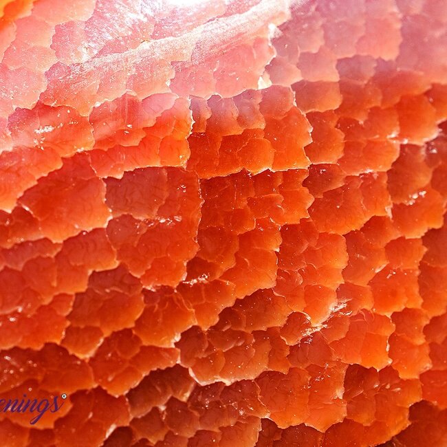 Fire Agate Palm Pillow Pocket Stone