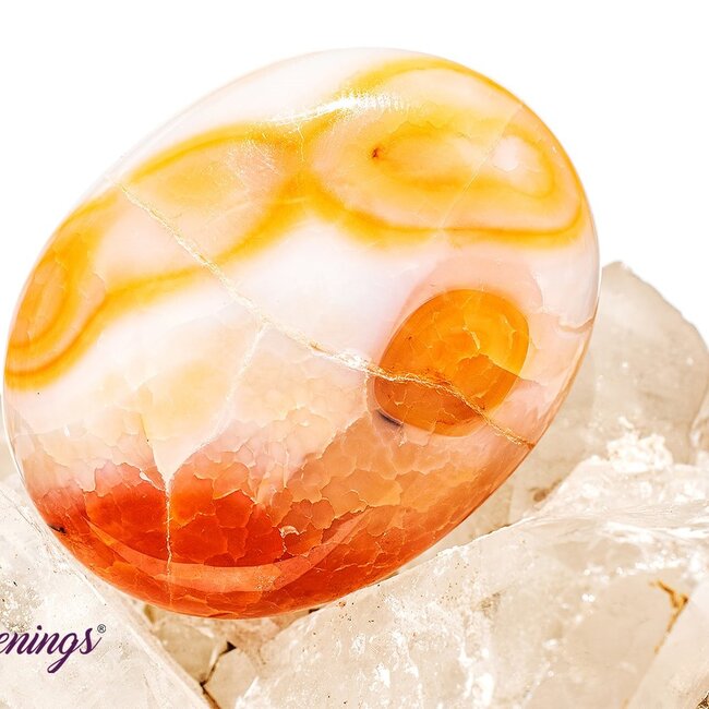 Fire Agate Palm Pillow Pocket Stone