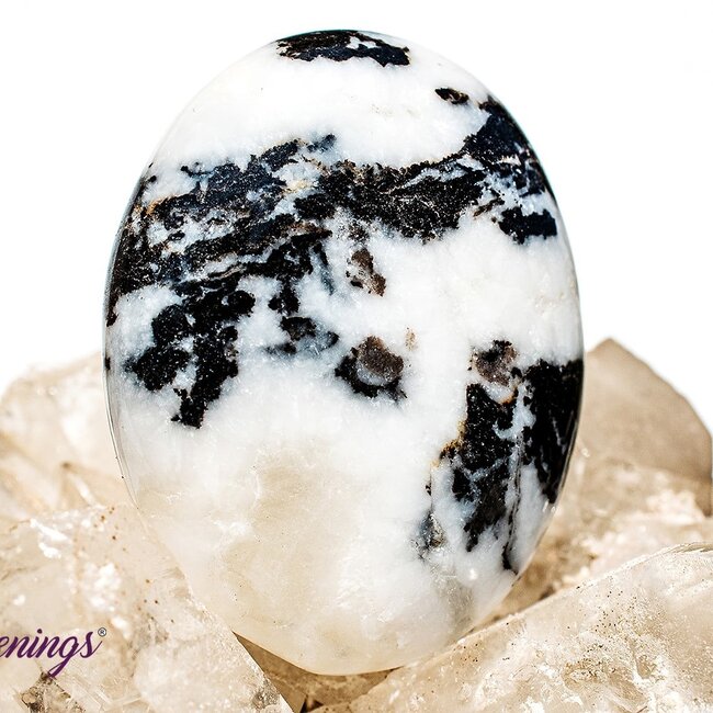 Zebra Agate Stone - Palm Pillow Pocket Stone