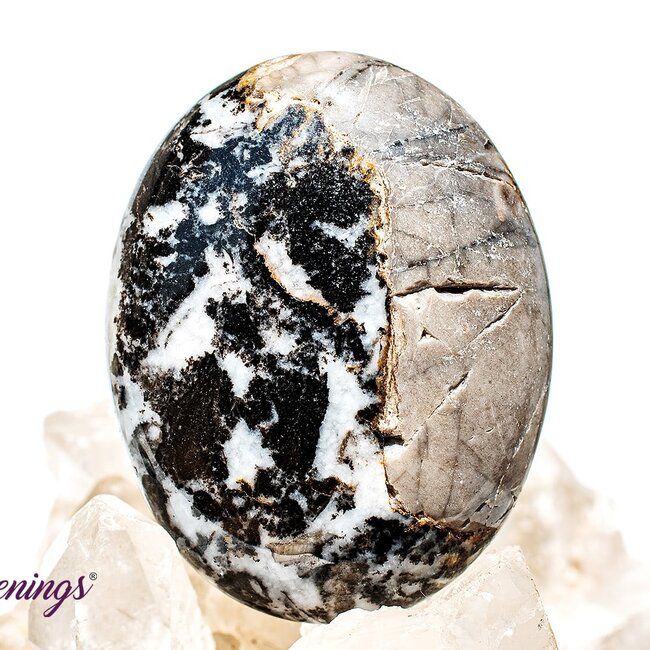 Zebra Agate Stone - Palm Pillow Pocket Stone