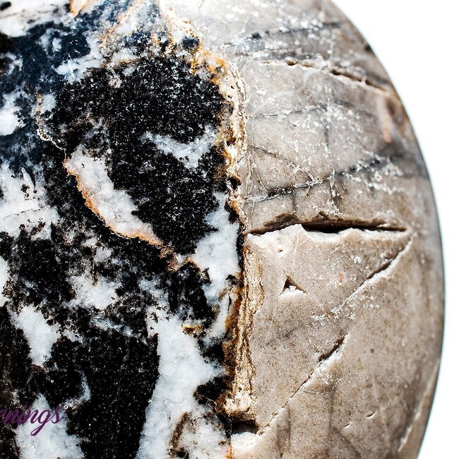 Zebra Agate Stone - Palm Pillow Pocket Stone