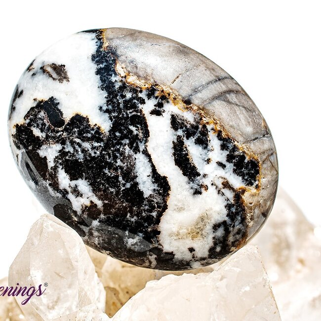 Zebra Agate Stone - Palm Pillow Pocket Stone