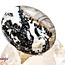 Zebra Agate Stone - Palm Pillow Pocket Stone