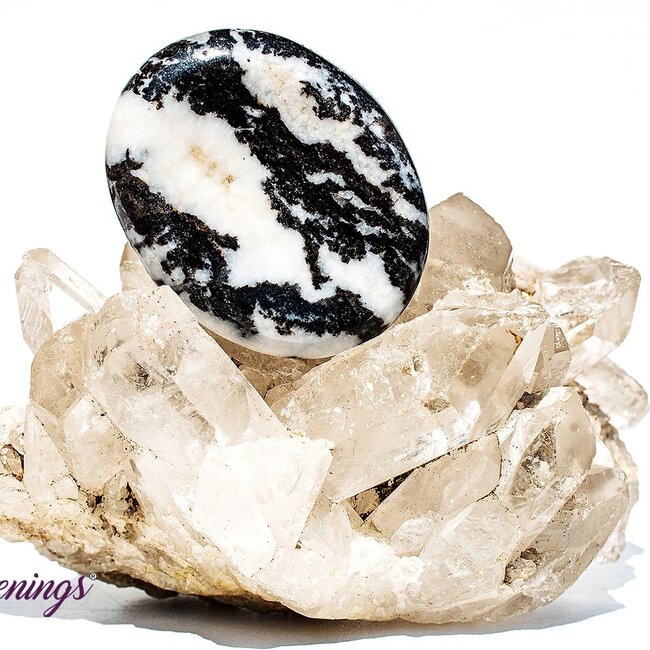 Zebra Agate Worry (Thumb Fidget Relaxation Pocket) Stones - Large Oval